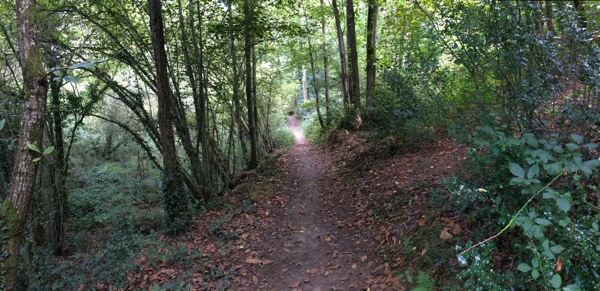 La Randonnée, une passion entre marche, nature et découvertes